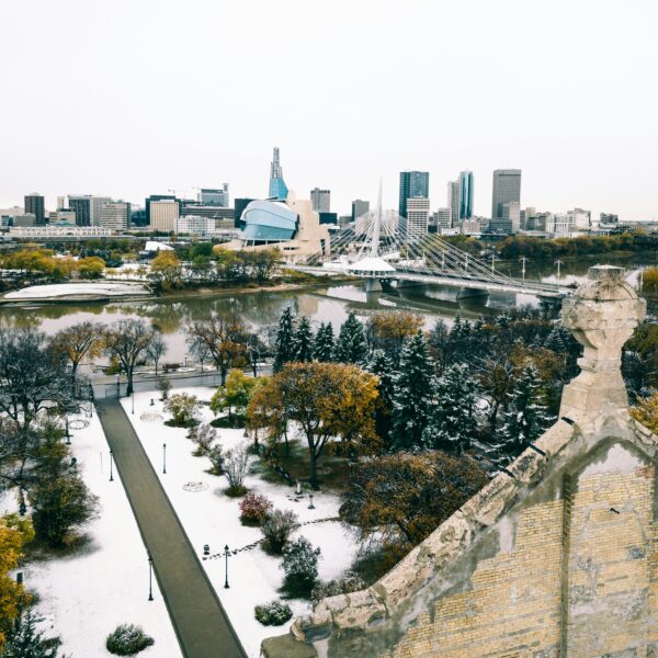 green trees near city buildings during daytime winnipeg